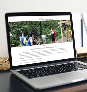 Ally: blog WordPress